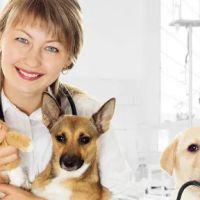 Healing Creatures Animal Hospital ico