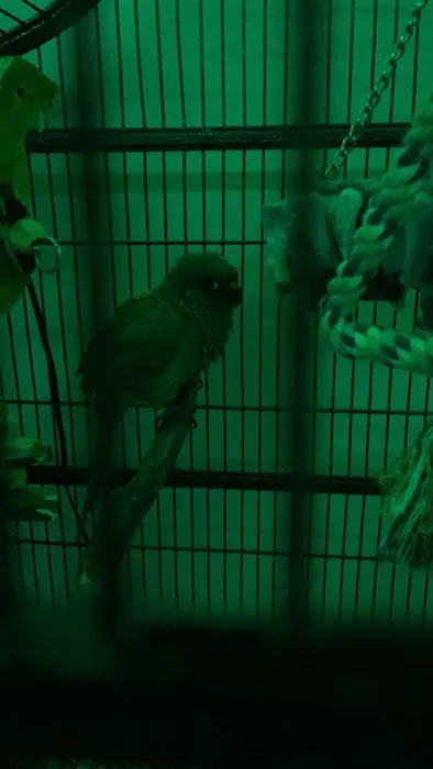 Healing Creatures Animal Hospital Picture 4