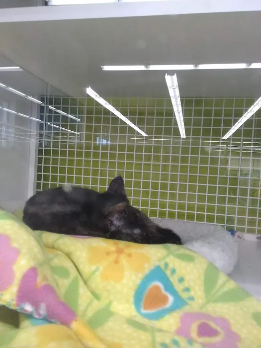 Petco Picture 1