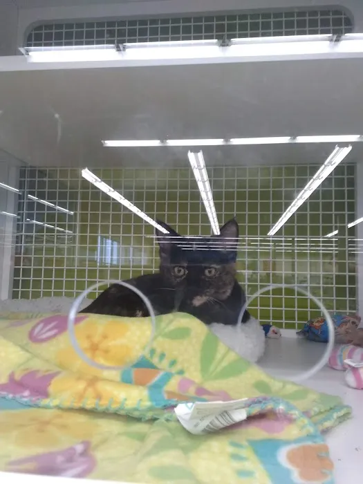 Petco Picture 3