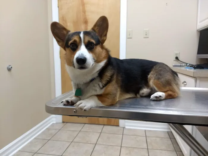 VCA Gettysburg Road Animal Hospital Picture 2