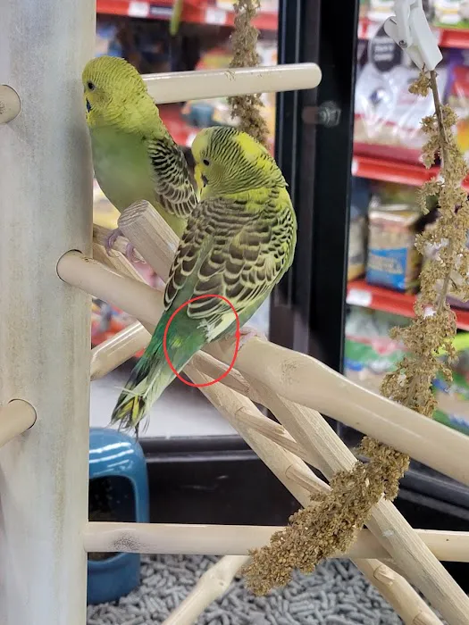 Petco Picture 3