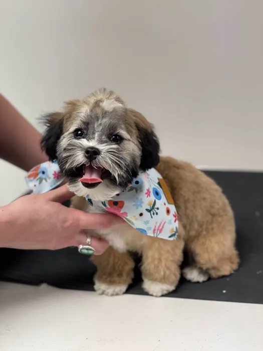 Line Mountain Animal Hospital: Miller Elizabeth S DVM Picture 1