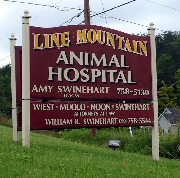 Line Mountain Animal Hospital: Miller Elizabeth S DVM Picture 4
