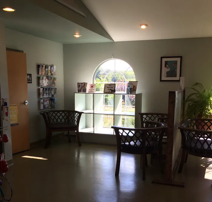 Companion Animal Hospital Picture 1