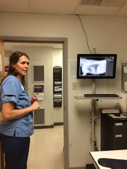 Companion Animal Hospital Picture 4