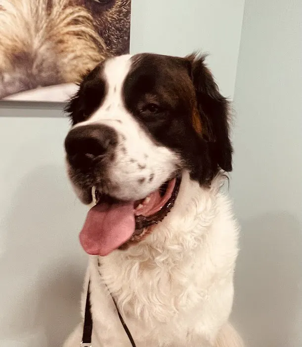 Susquehanna Trail Animal Hospital Picture 1