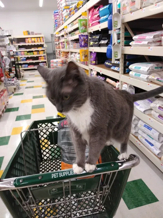 Pet Supplies Plus White Lake - Highland Picture 1
