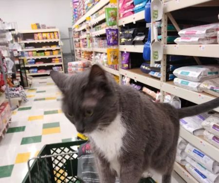 Pet Supplies Plus White Lake - Highland