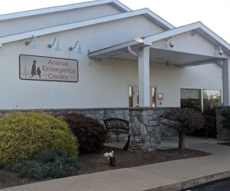 Animal Emergency Center