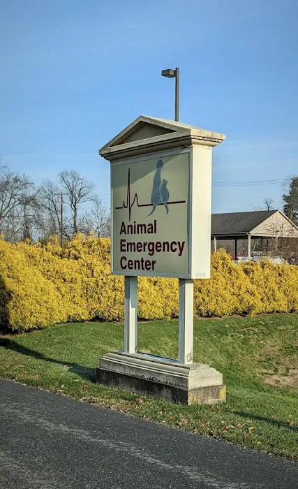 Animal Emergency Center Picture 3