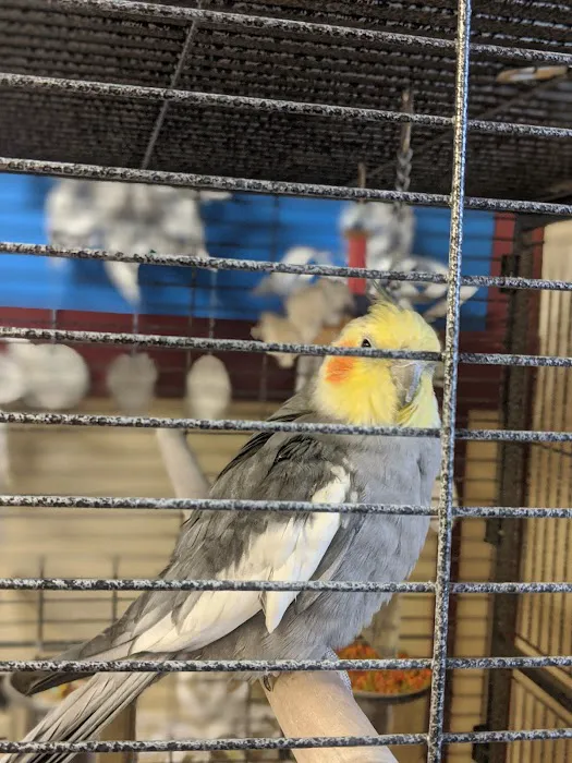 Animal Care Hospital Picture 1