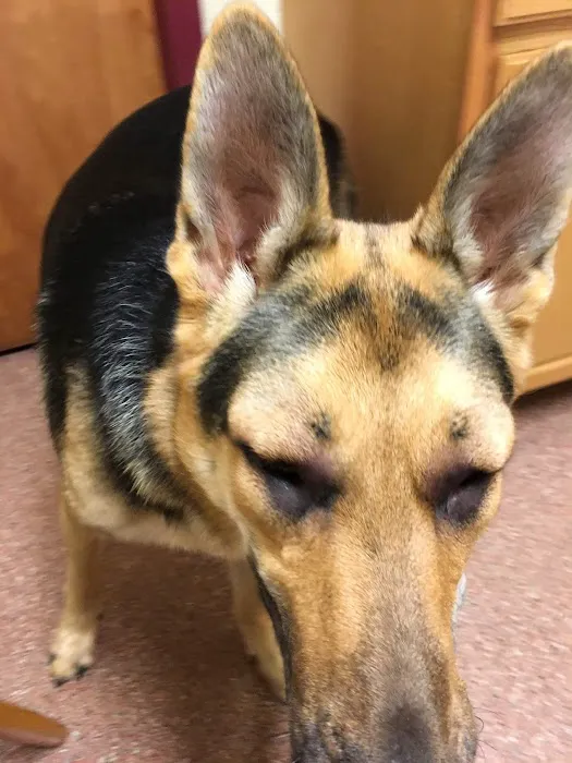 Animal Care Hospital Picture 2