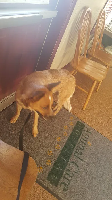 Animal Care Hospital Picture 5