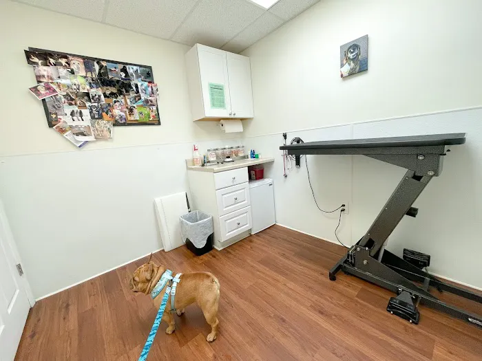 Complete Veterinary Care Picture 1