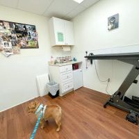 Complete Veterinary Care ico