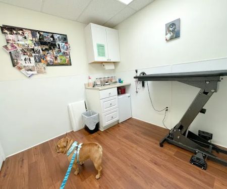 Complete Veterinary Care