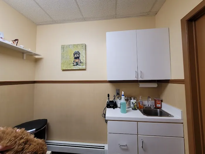 All Creatures Great & Small Animal Hospital Picture 1