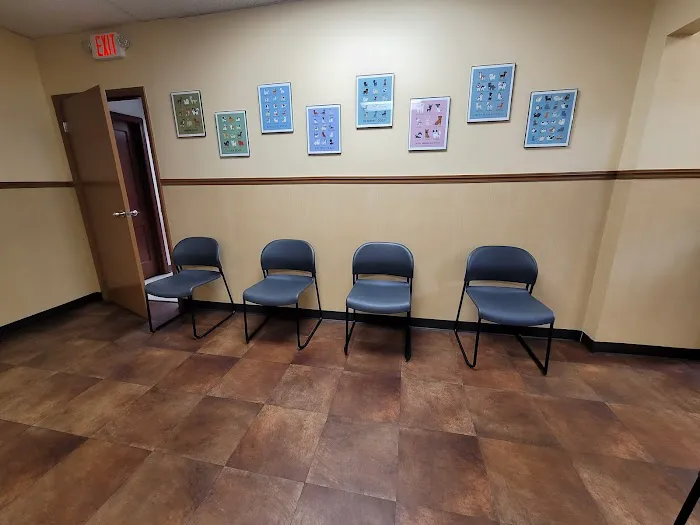All Creatures Great & Small Animal Hospital Picture 3