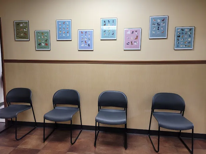 All Creatures Great & Small Animal Hospital Picture 4