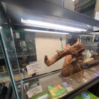 Moby Dick Pet Store Inc ico