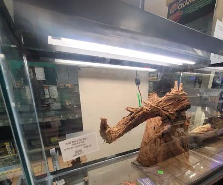 Moby Dick Pet Store Inc