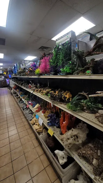 Moby Dick Pet Store Inc Picture 2
