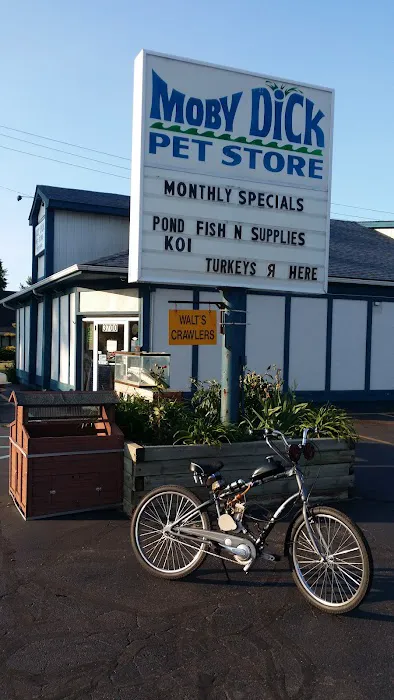 Moby Dick Pet Store Inc Picture 4