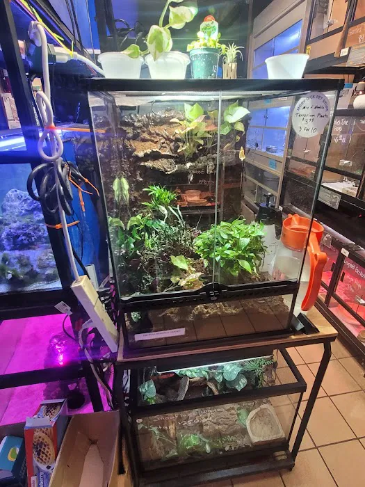Moby Dick Pet Store Inc Picture 3