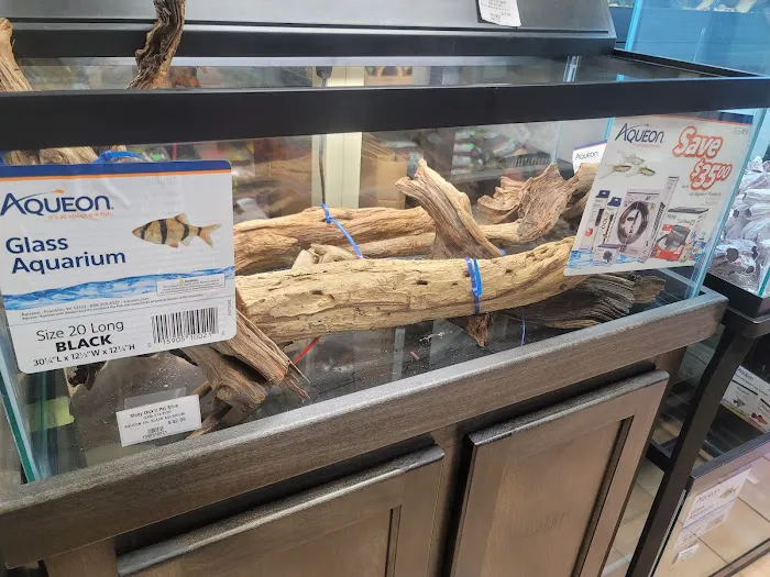 Moby Dick Pet Store Inc Picture 8