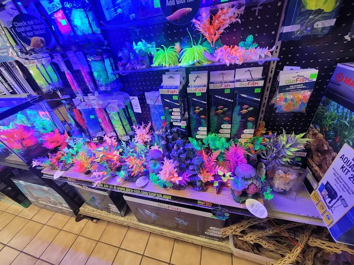 Moby Dick Pet Store Inc Picture 7