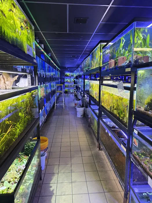 Moby Dick Pet Store Inc Picture 9