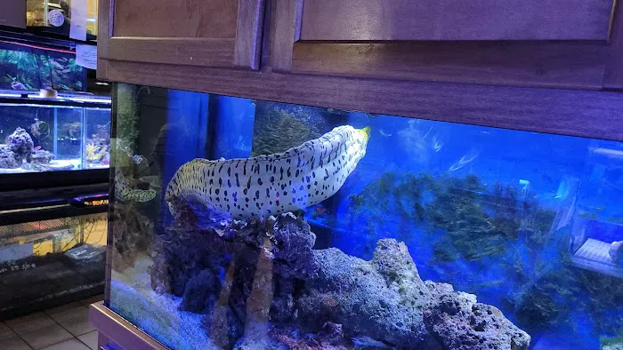 Moby Dick Pet Store Inc Picture 6