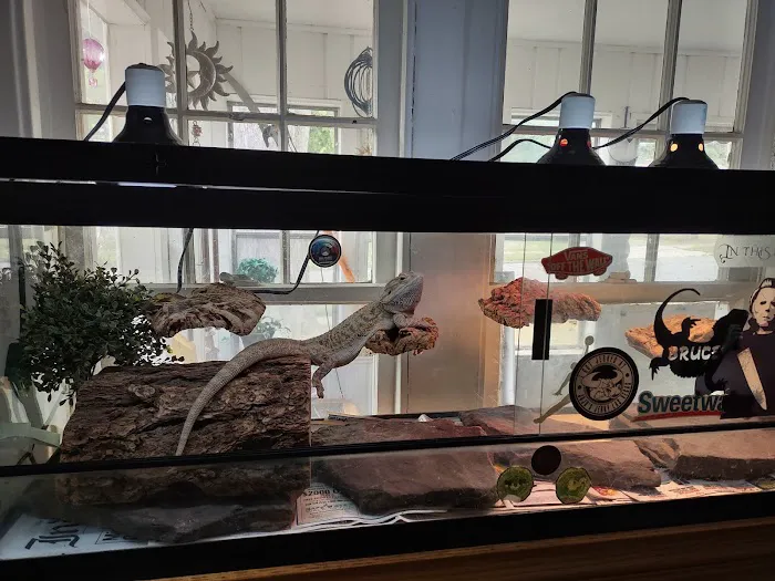 Moby Dick Pet Store Inc Picture 10
