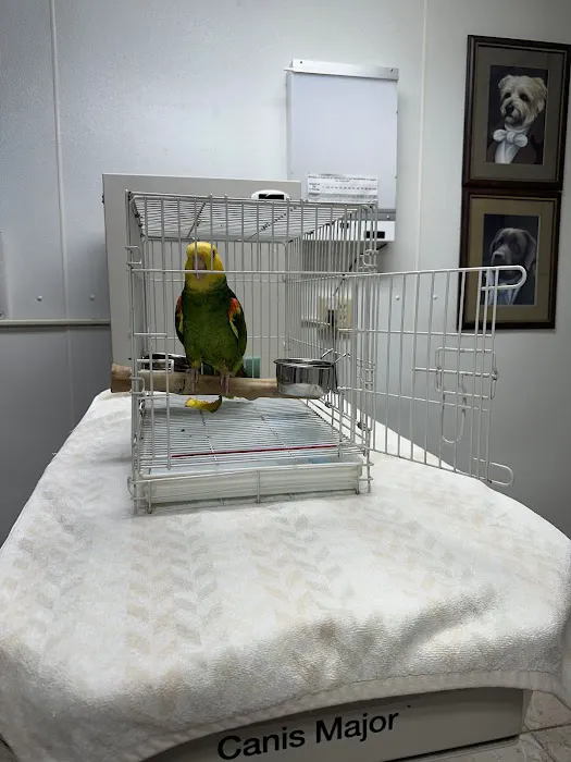 All Creatures Great and Small Animal Hospital Picture 8