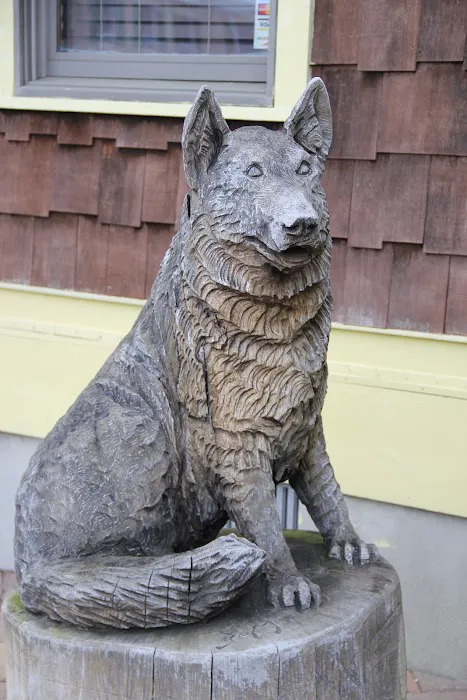 All Creatures Great and Small Animal Hospital Picture 9