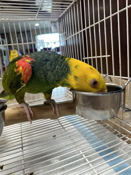 All Creatures Great and Small Animal Hospital Picture 6