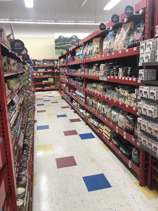 Petco Picture 1