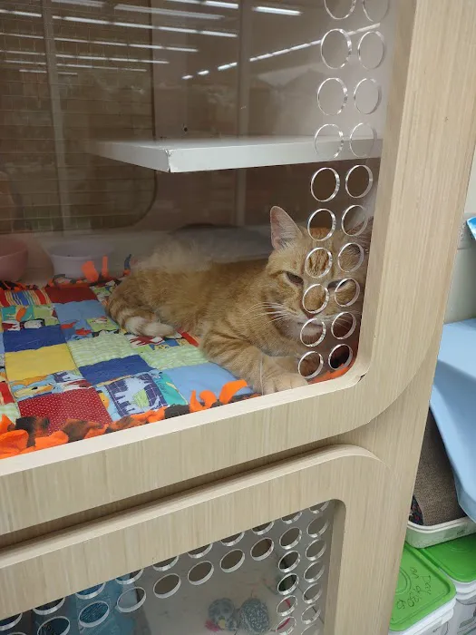 Petco Picture 2