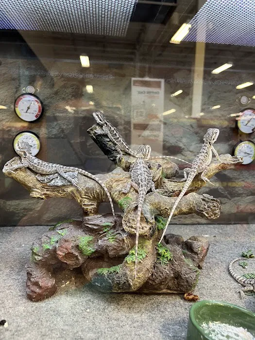Petco Picture 6