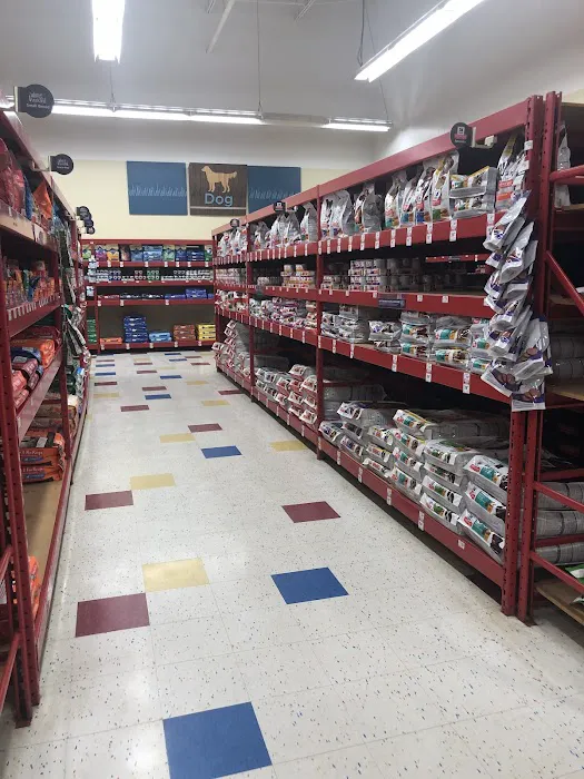 Petco Picture 10