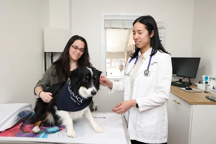 Packanack Animal Hospital Picture 3