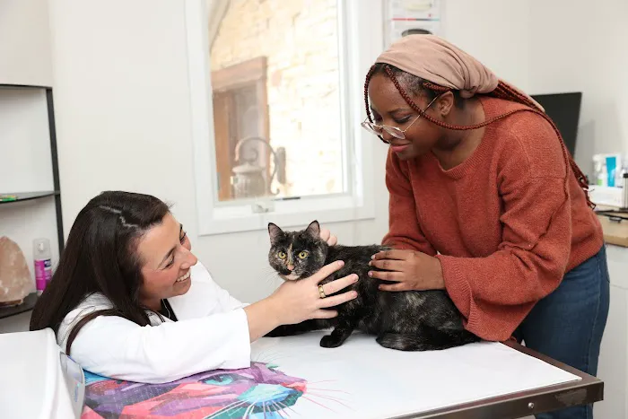 Packanack Animal Hospital Picture 1