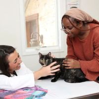 Packanack Animal Hospital ico