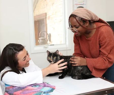 Packanack Animal Hospital