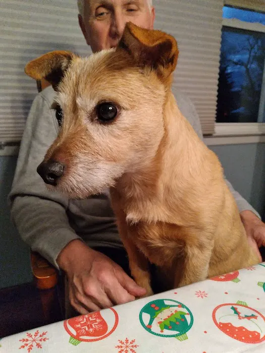 Packanack Animal Hospital Picture 7