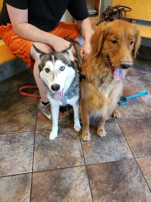 Packanack Animal Hospital Picture 6