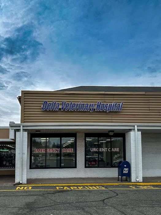 Delta Veterinary Hospital - Animal Emergency Picture 7