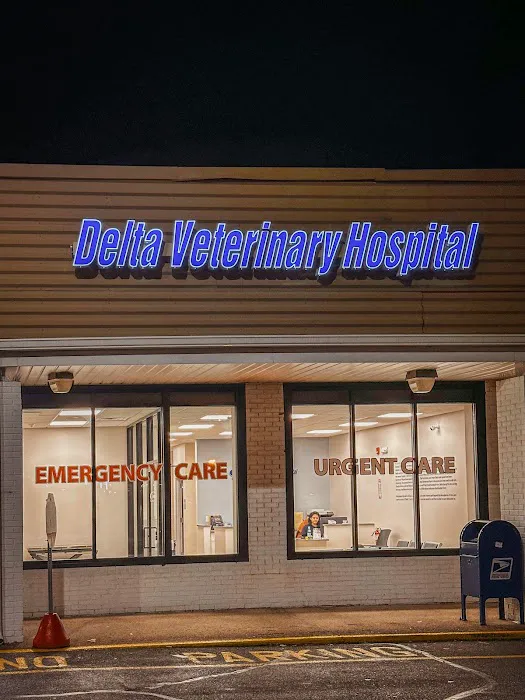 Delta Veterinary Hospital - Animal Emergency Picture 10