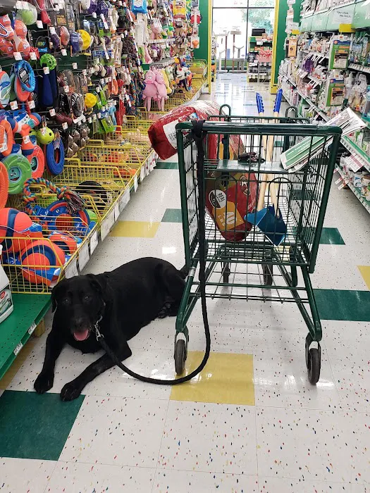 Pet Supplies Plus Okemos Picture 2